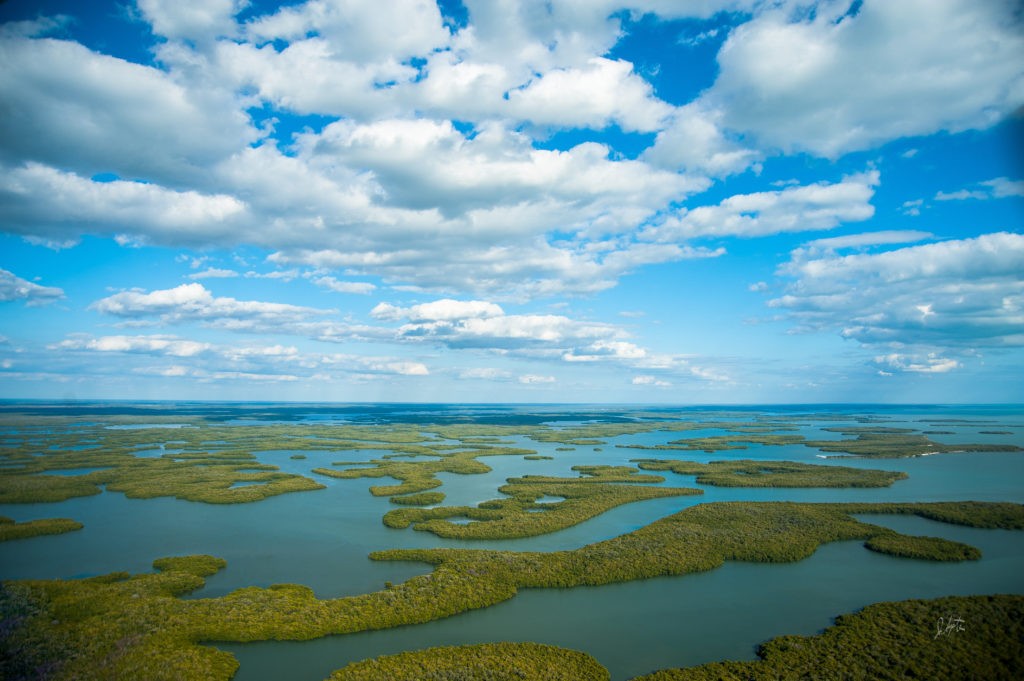 Aerial view of the Ten Thousand Islands in Everglades National Park