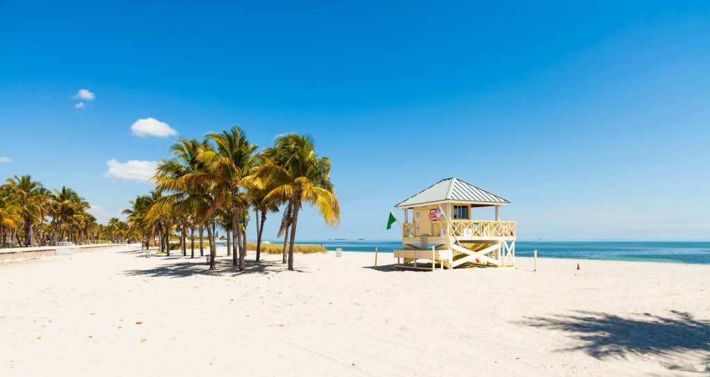 Piękny Crandon Park Beach znajduje się w Key Biscayne w Miami.