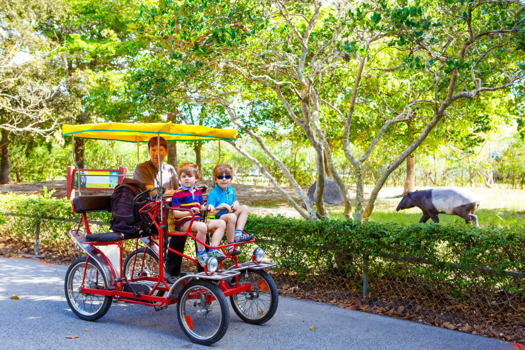 Yound dad and two little kid boys biking on bicycle in zoo. Family with active leisure and watching animals. Father and sons having fun together. Miami zoo, Florida.