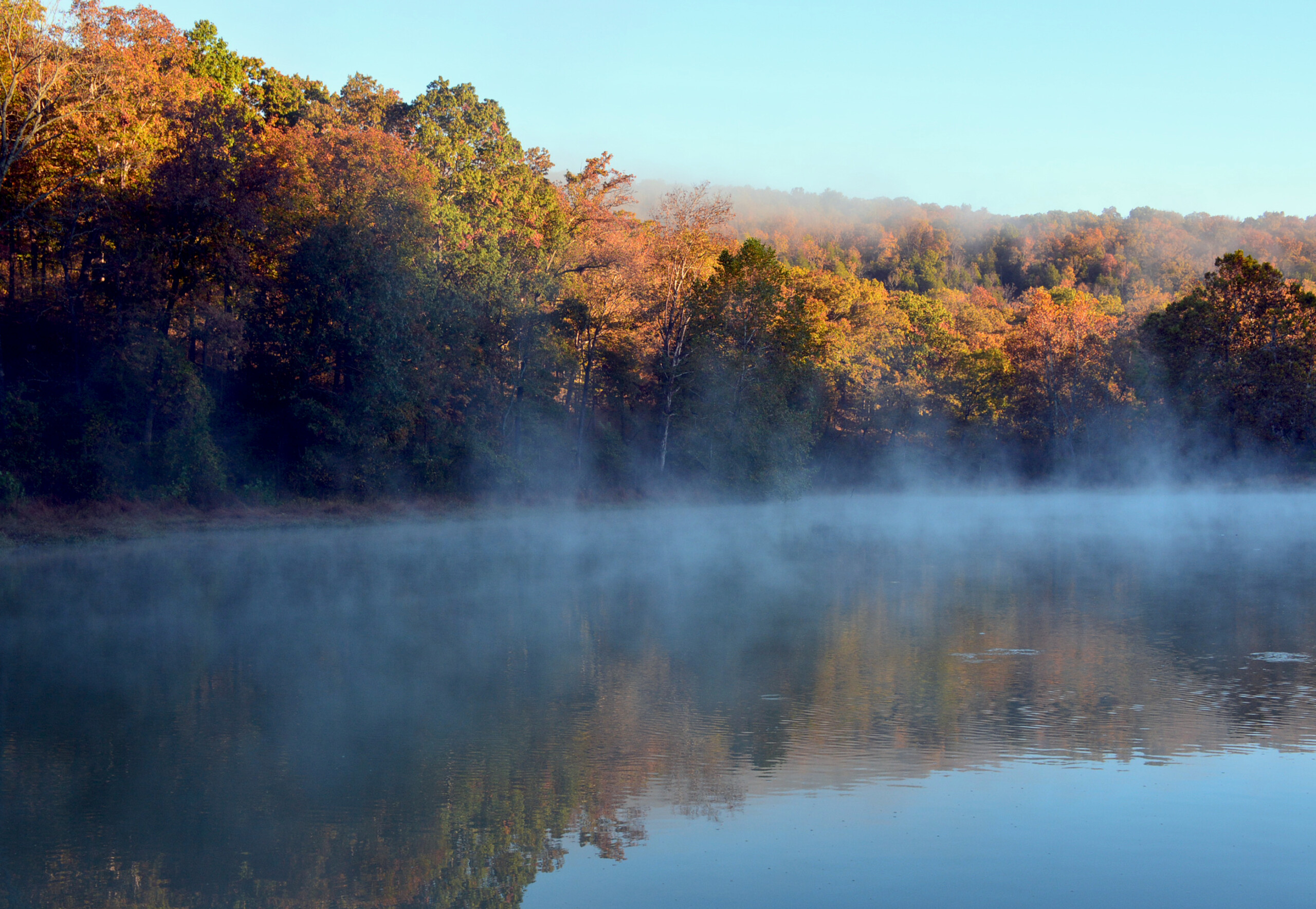 Poziomy krajobraz jesiennych drzew i światło poranne odzwierciedlenie w jeziorze w Devil's Den, Arkansas.
