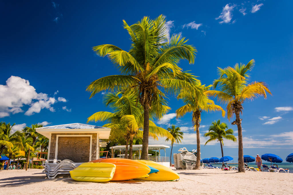 Palmy na plaży w Key West na Florydzie.