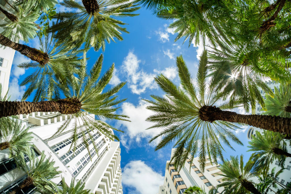 Piękny pejzaż miejski oko Miami Beach z architekturą Art Deco i palmami.