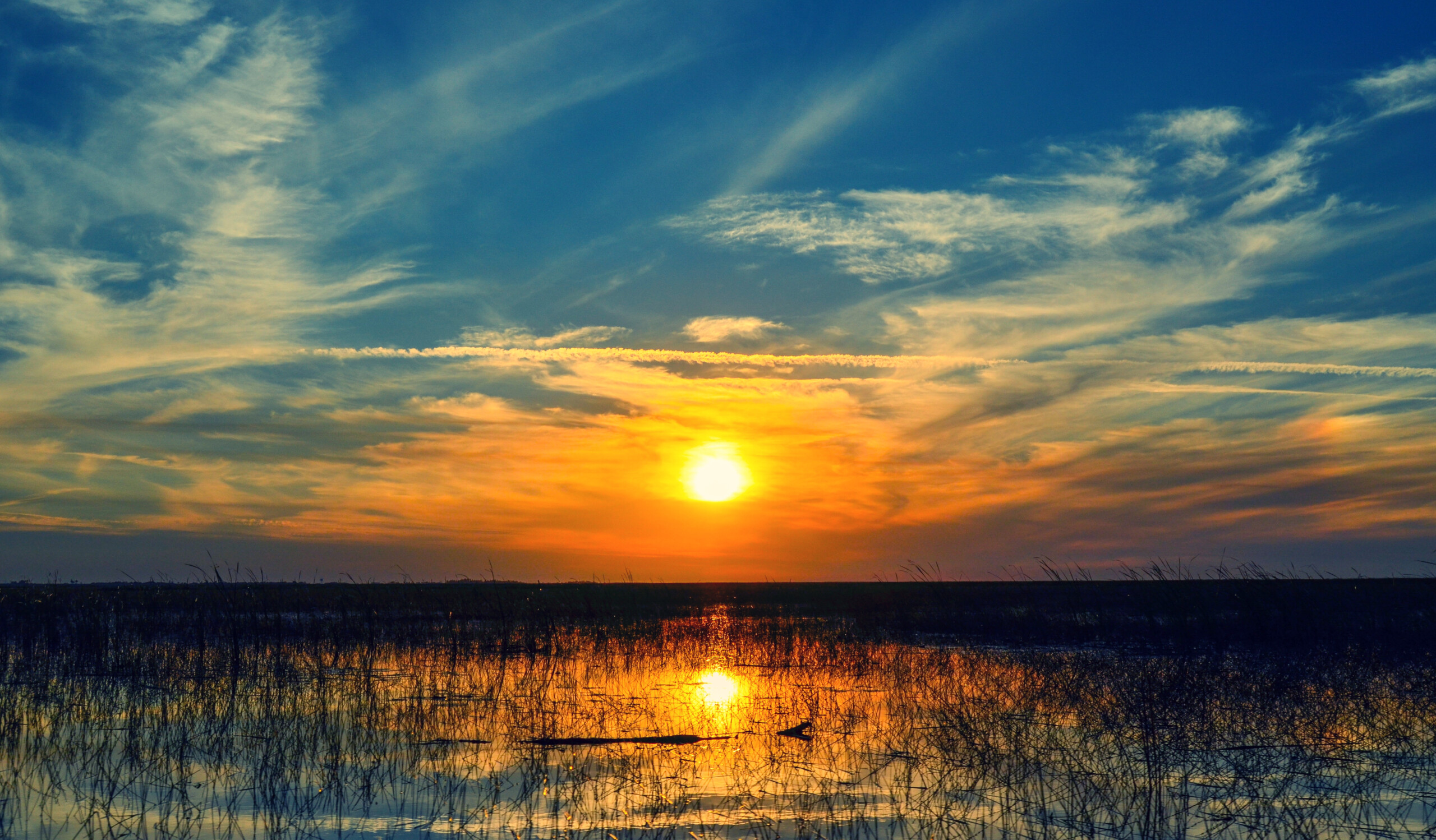 Zachód słońca nad wodami jeziora Okeechobee na Florydzie, USA. Z bagnistą trawą rosnącą w płytkim jeziorze. , licencja: shutterstock/By JMP_Traveler